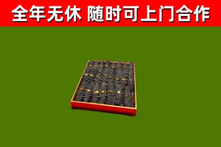 龙圩回收海参